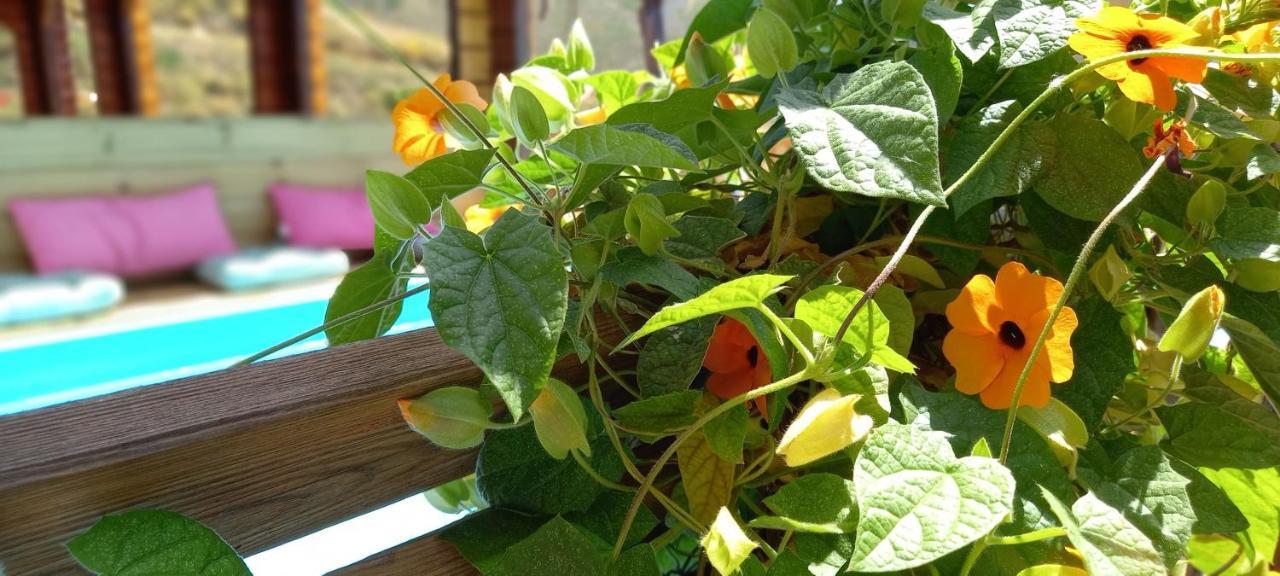 Finca Mariposa Mariposaholidays Nerja Eksteriør billede