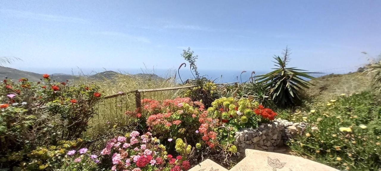 Finca Mariposa Mariposaholidays Nerja Eksteriør billede
