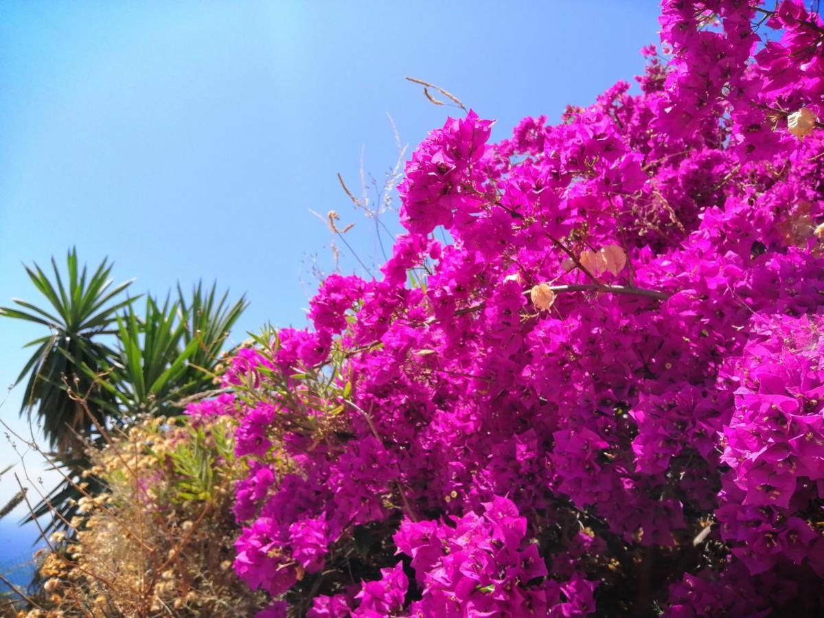Finca Mariposa Mariposaholidays Nerja Eksteriør billede