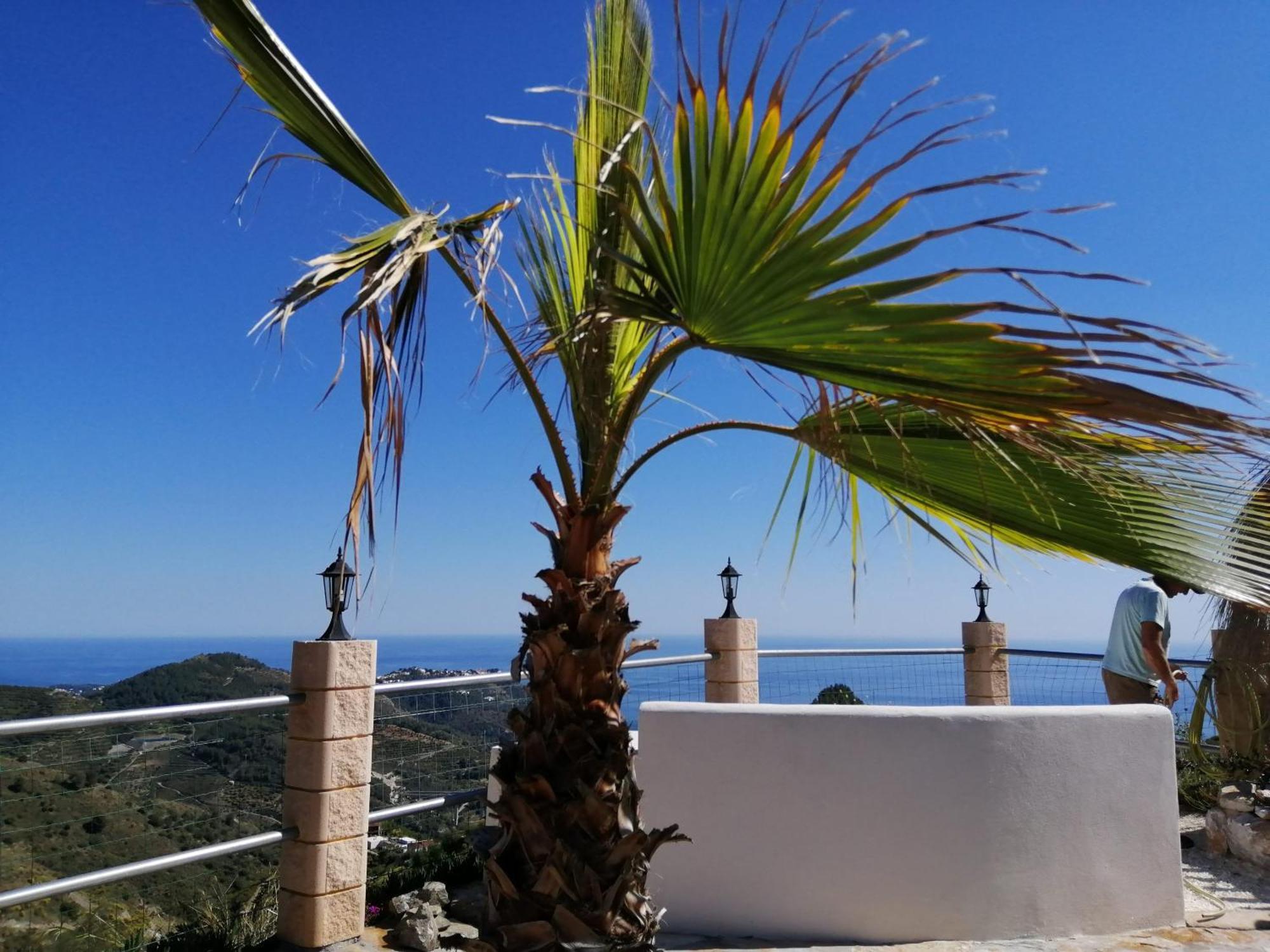Finca Mariposa Mariposaholidays Nerja Eksteriør billede
