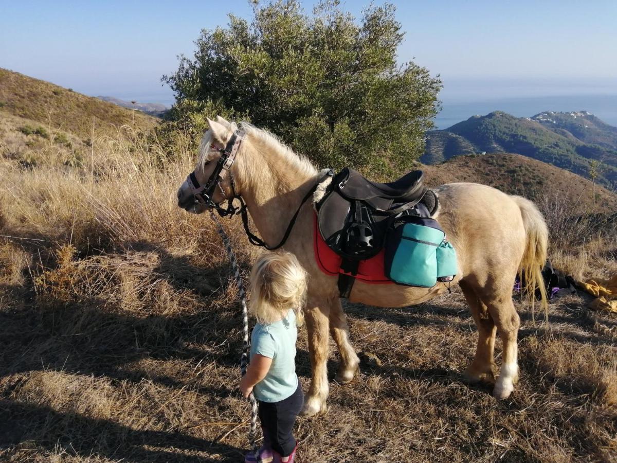 Finca Mariposa Mariposaholidays Nerja Eksteriør billede